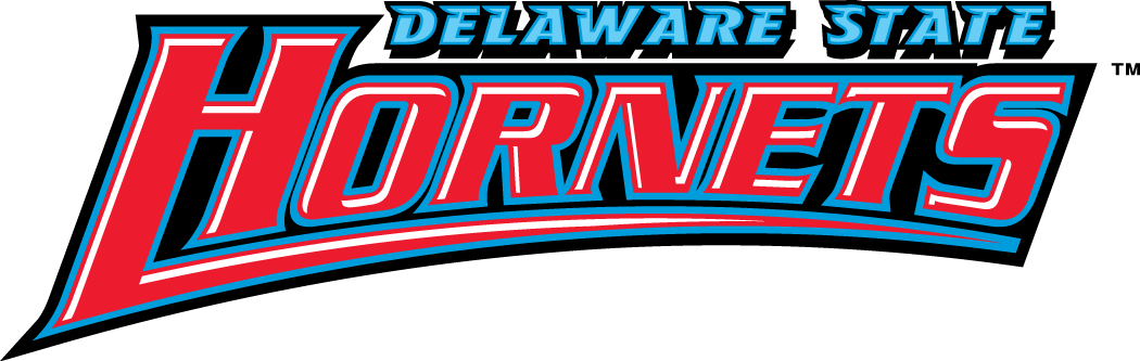 Delaware State Hornets 2004-Pres Wordmark Logo t shirts iron on transfers